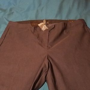Brand new women's casual ankle pants